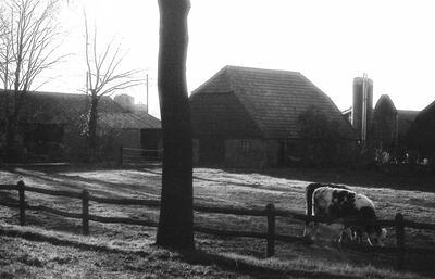 Roosendaalseweg 117, Putten