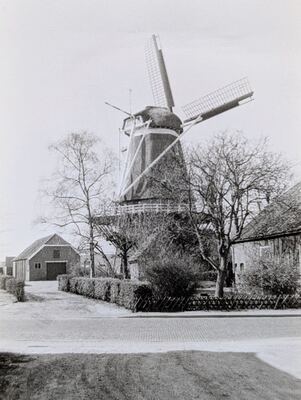Voorjaar bij de molen - Halvinkhuizerweg 1, Putten