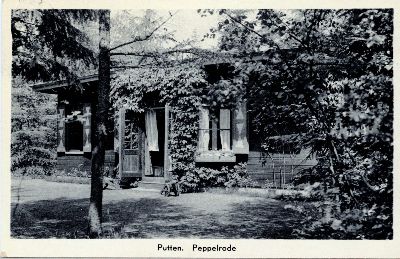 Peppelrode - Peppelerweg 50, Putten
