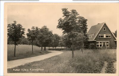 Kastanjelaan 17, Putten