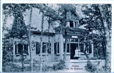 Villa De Hanekam - Driewegenweg 53, Putten