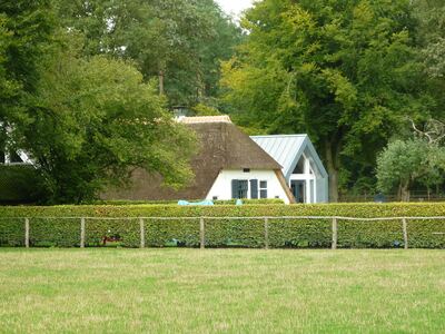 Boerderij - Zuiderveldweg 4, Putten, Gelderland