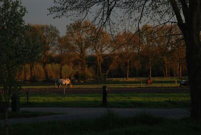 Waterweg 82, Putten