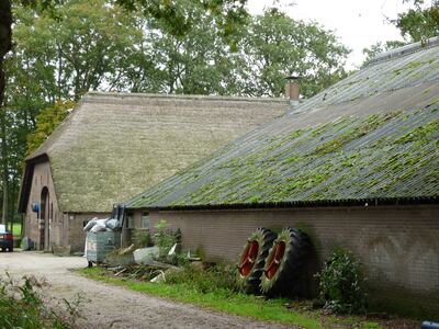 Boerderij - Donkeresteeg 13, Putten, Gelderland